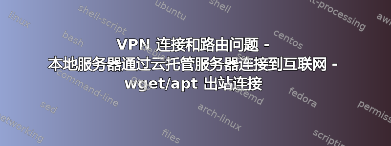 VPN 连接和路由问题 - 本地服务器通过云托管服务器连接到互联网 - wget/apt 出站连接