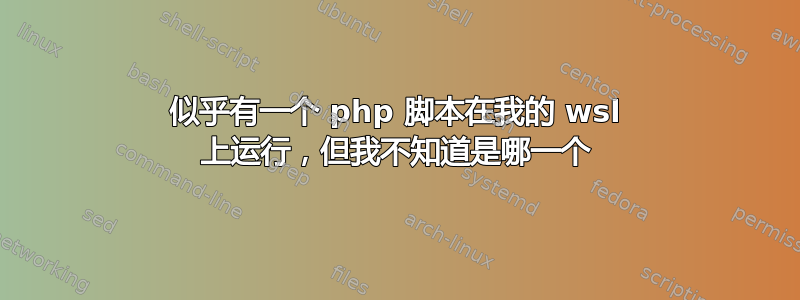 似乎有一个 php 脚本在我的 wsl 上运行，但我不知道是哪一个