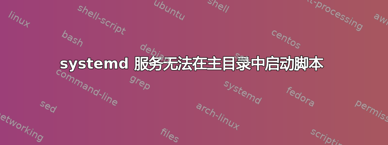 systemd 服务无法在主目录中启动脚本