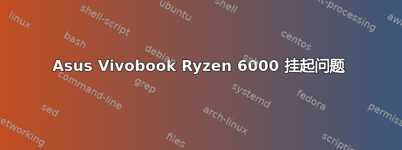 Asus Vivobook Ryzen 6000 挂起问题