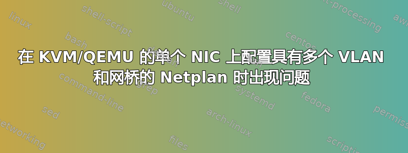 在 KVM/QEMU 的单个 NIC 上配置具有多个 VLAN 和网桥的 Netplan 时出现问题