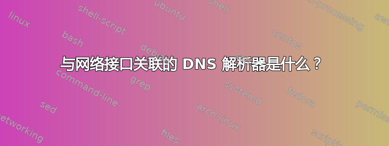 与网络接口关联的 DNS 解析器是什么？