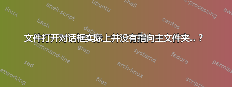 文件打开对话框实际上并没有指向主文件夹..？