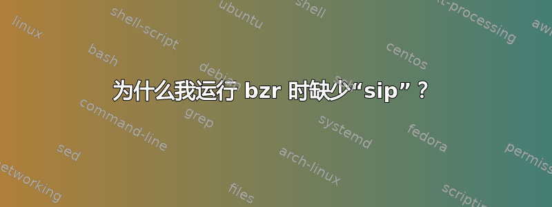 为什么我运行 bzr 时缺少“sip”？