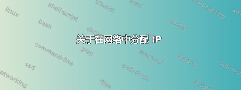 关于在网络中分配 IP