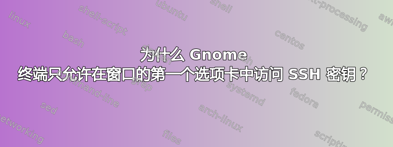 为什么 Gnome 终端只允许在窗口的第一个选项卡中访问 SSH 密钥？