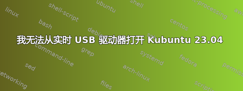 我无法从实时 USB 驱动器打开 Kubuntu 23.04