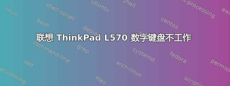 联想 ThinkPad L570 数字键盘不工作