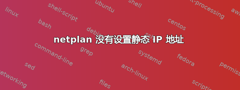 netplan 没有设置静态 IP 地址