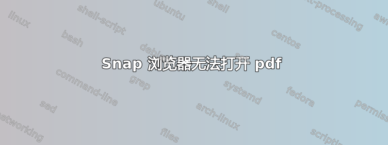 Snap 浏览器无法打开 pdf