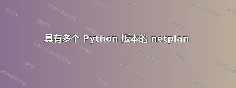 具有多个 Python 版本的 netplan