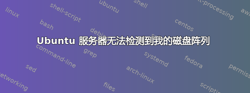 Ubuntu 服务器无法检测到我的磁盘阵列