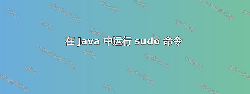 在 Java 中运行 sudo 命令