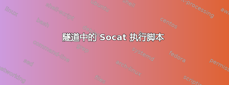 隧道中的 Socat 执行脚本