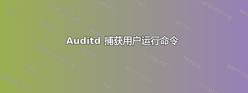 Auditd 捕获用户运行命令