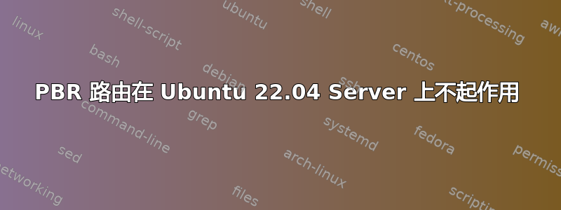 PBR 路由在 Ubuntu 22.04 Server 上不起作用