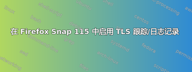 在 Firefox Snap 115 中启用 TLS 跟踪/日志记录