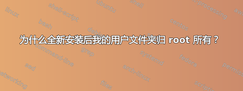 为什么全新安装后我的用户文件夹归 root 所有？