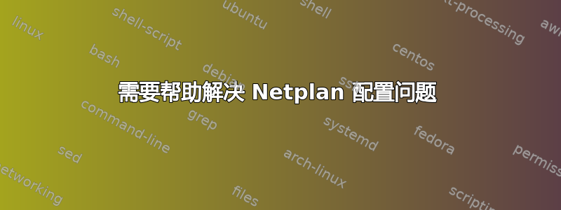 需要帮助解决 Netplan 配置问题