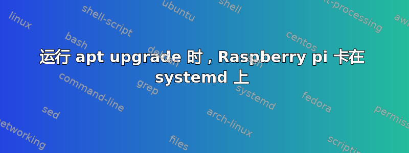 运行 apt upgrade 时，Raspberry pi 卡在 systemd 上