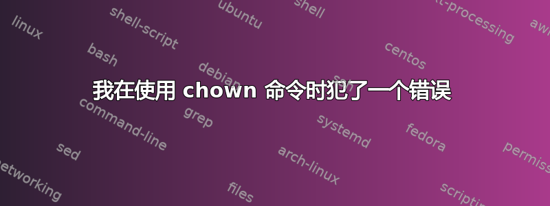 我在使用 chown 命令时犯了一个错误