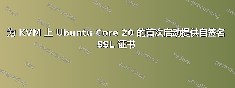 为 KVM 上 Ubuntu Core 20 的首次启动提供自签名 SSL 证书