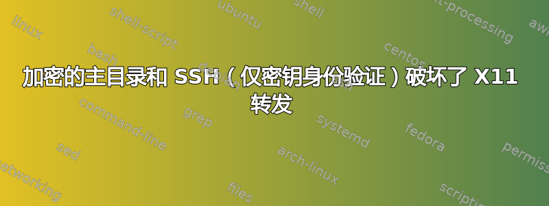 加密的主目录和 SSH（仅密钥身份验证）破坏了 X11 转发