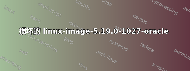 损坏的 linux-image-5.19.0-1027-oracle