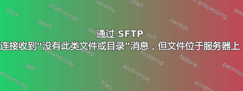 通过 SFTP 连接收到“没有此类文件或目录”消息，但文件位于服务器上