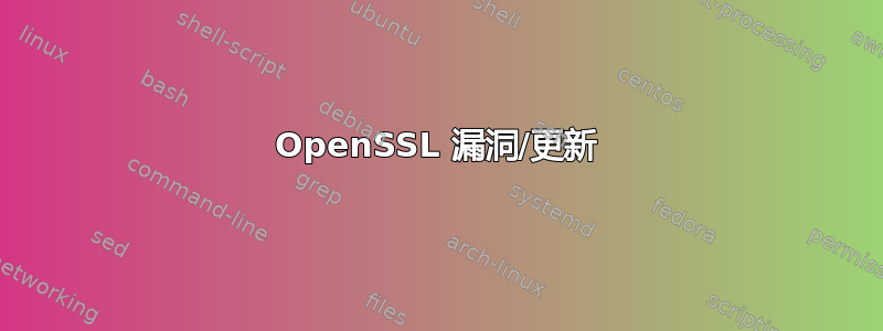 OpenSSL 漏洞/更新