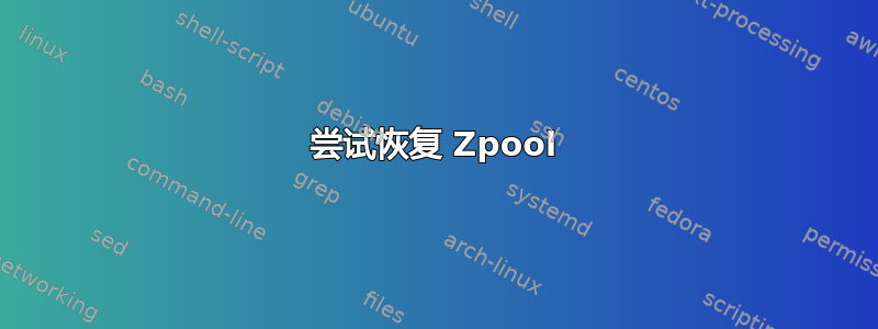 尝试恢复 Zpool