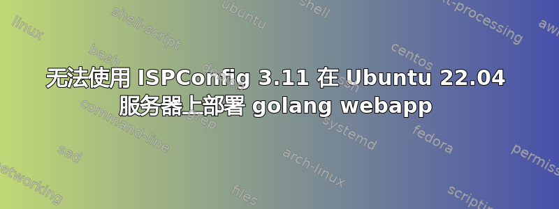 无法使用 ISPConfig 3.11 在 Ubuntu 22.04 服务器上部署 golang webapp