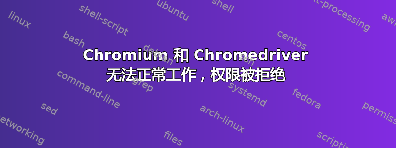 Chromium 和 Chromedriver 无法正常工作，权限被拒绝