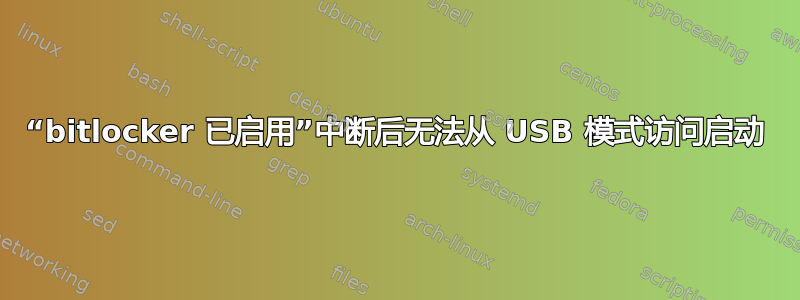 “bitlocker 已启用”中断后无法从 USB 模式访问启动