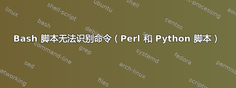 Bash 脚本无法识别命令（Perl 和 Python 脚本）