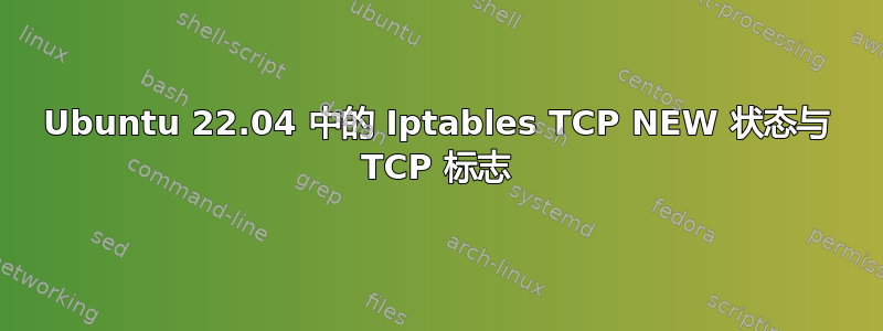 Ubuntu 22.04 中的 Iptables TCP NEW 状态与 TCP 标志