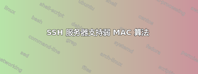 SSH 服务器支持弱 MAC 算法