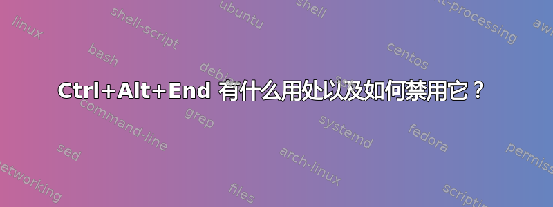 Ctrl+Alt+End 有什么用处以及如何禁用它？