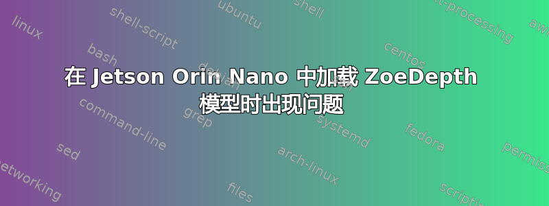 在 Jetson Orin Nano 中加载 ZoeDepth 模型时出现问题