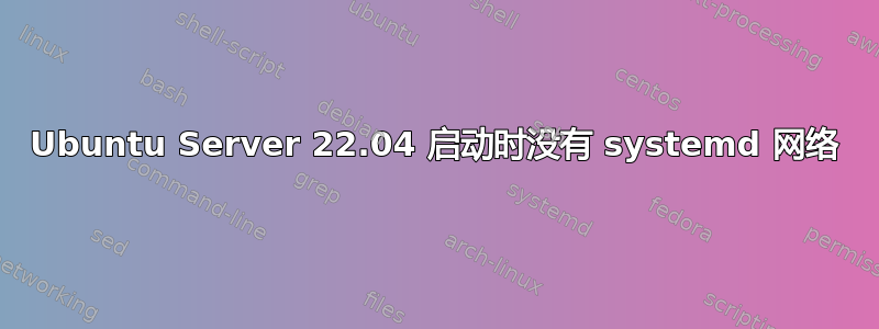 Ubuntu Server 22.04 启动时没有 systemd 网络