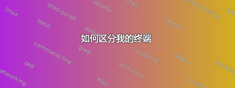 如何区分我的终端