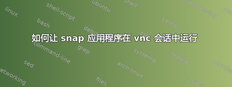 如何让 snap 应用程序在 vnc 会话中运行