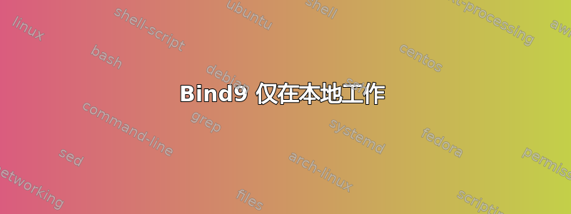 Bind9 仅在本地工作