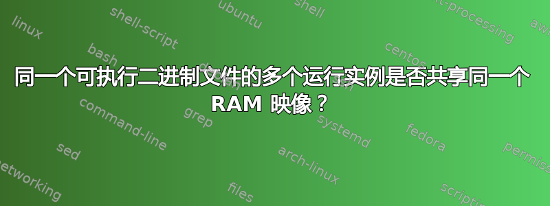 同一个可执行二进制文件的多个运行实例是否共享同一个 RAM 映像？