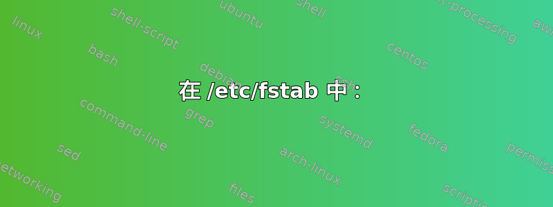 在 /etc/fstab 中：