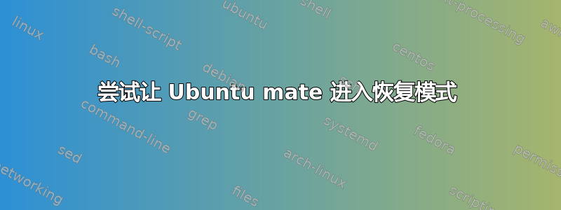 尝试让 Ubuntu mate 进入恢复模式