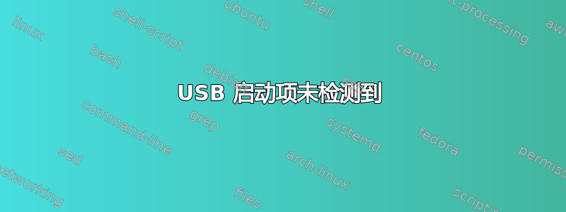 USB 启动项未检测到