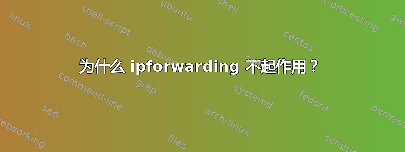 为什么 ipforwarding 不起作用？