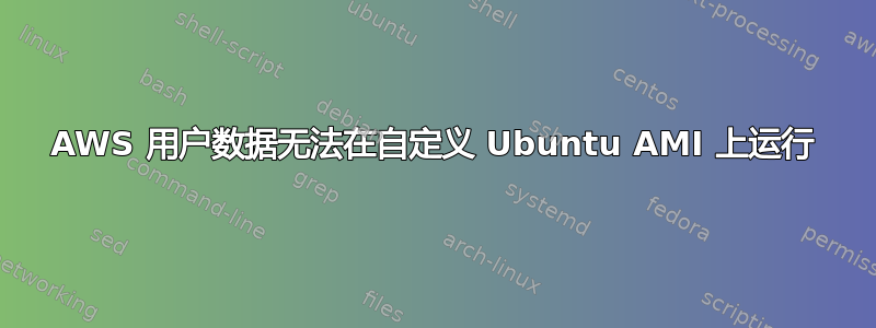 AWS 用户数据无法在自定义 Ubuntu AMI 上运行