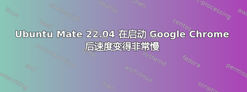 Ubuntu Mate 22.04 在启动 Google Chrome 后速度变得非常慢